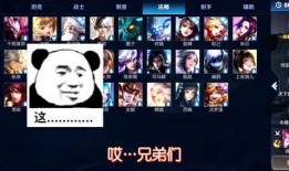 兄弟们王者爆料视频,兄弟们最新视频揭秘游戏内幕